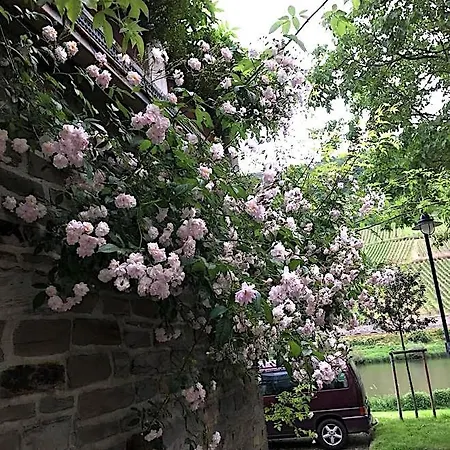 Appartement Mosel Reil