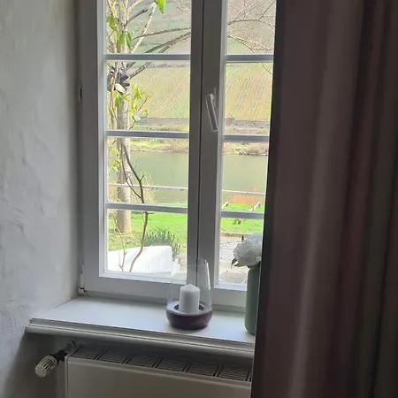 Mosel Reil